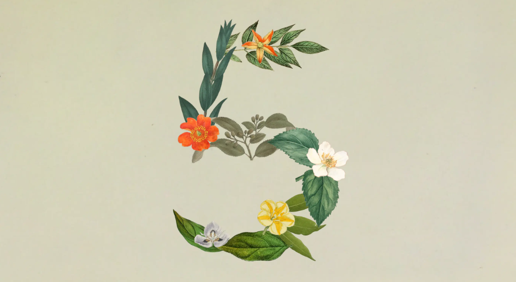 Ilustração botânica do número 5, composta por folhas verdes e flores de cores variadas em fundo claro.